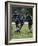 Rugby Players in Action, Paris, France-Paul Sutton-Framed Photographic Print