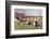 Rugby Try Scored 1897-Ernest Prater-Framed Photographic Print