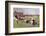 Rugby Try Scored 1897-Ernest Prater-Framed Photographic Print