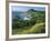 Rugged Coastline of the Lower Estuaries, Galicia, Spain, Europe-Maxwell Duncan-Framed Photographic Print