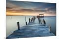 Premium Photographic Print