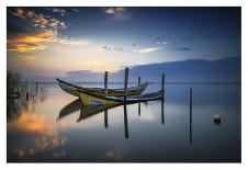 Carrasqueira-Rui Ribeiro-Photographic Print