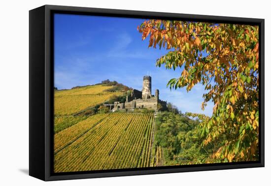 Ruin FŸrstenberg Castle Above the Town Rheindiebach Above Autumn-Coloured Vineyards-Uwe Steffens-Framed Premier Image Canvas