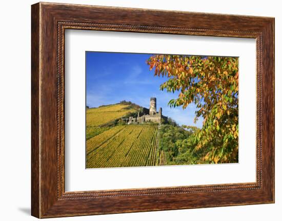 Ruin FŸrstenberg Castle Above the Town Rheindiebach Above Autumn-Coloured Vineyards-Uwe Steffens-Framed Photographic Print