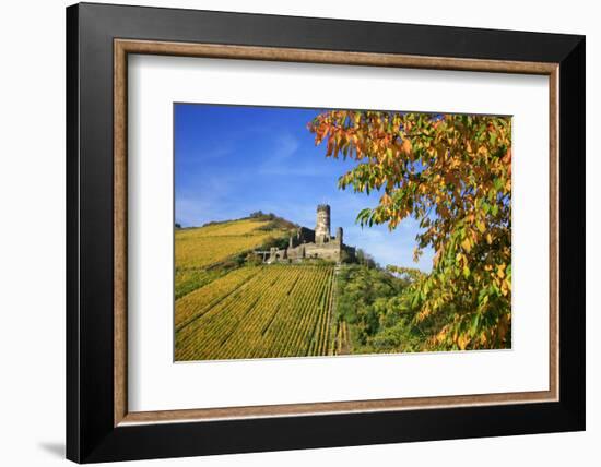 Ruin FŸrstenberg Castle Above the Town Rheindiebach Above Autumn-Coloured Vineyards-Uwe Steffens-Framed Photographic Print