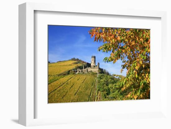 Ruin FŸrstenberg Castle Above the Town Rheindiebach Above Autumn-Coloured Vineyards-Uwe Steffens-Framed Photographic Print