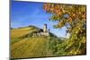 Ruin FŸrstenberg Castle Above the Town Rheindiebach Above Autumn-Coloured Vineyards-Uwe Steffens-Mounted Photographic Print