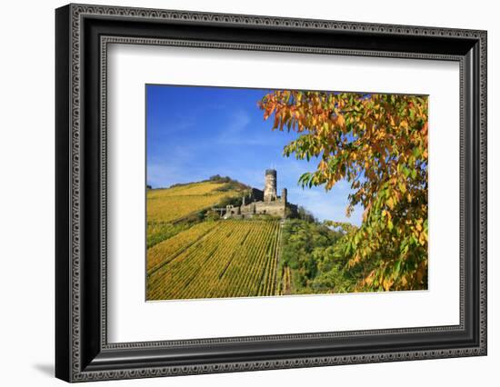 Ruin FŸrstenberg Castle Above the Town Rheindiebach Above Autumn-Coloured Vineyards-Uwe Steffens-Framed Photographic Print