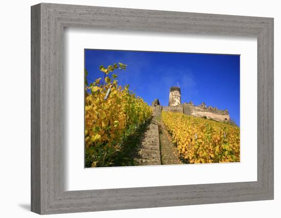 Ruin FŸrstenberg Castle Above the Town Rheindiebach in the Midst of Autumn-Coloured Vineyards-Uwe Steffens-Framed Photographic Print