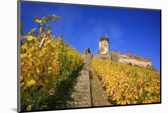 Ruin FŸrstenberg Castle Above the Town Rheindiebach in the Midst of Autumn-Coloured Vineyards-Uwe Steffens-Mounted Photographic Print