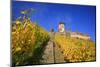 Ruin FŸrstenberg Castle Above the Town Rheindiebach in the Midst of Autumn-Coloured Vineyards-Uwe Steffens-Mounted Photographic Print