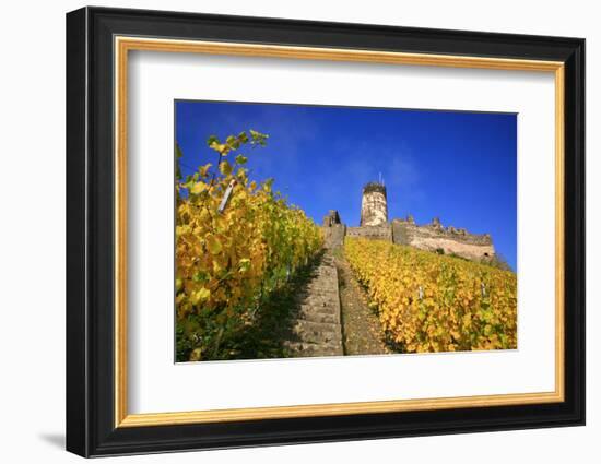 Ruin FŸrstenberg Castle Above the Town Rheindiebach in the Midst of Autumn-Coloured Vineyards-Uwe Steffens-Framed Photographic Print