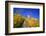 Ruin FŸrstenberg Castle Above the Town Rheindiebach in the Midst of Autumn-Coloured Vineyards-Uwe Steffens-Framed Photographic Print