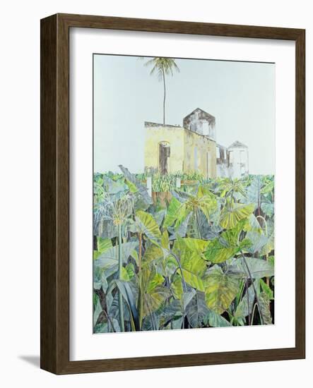 Ruin in a Swamp, Haiti, 1971-James Reeve-Framed Giclee Print