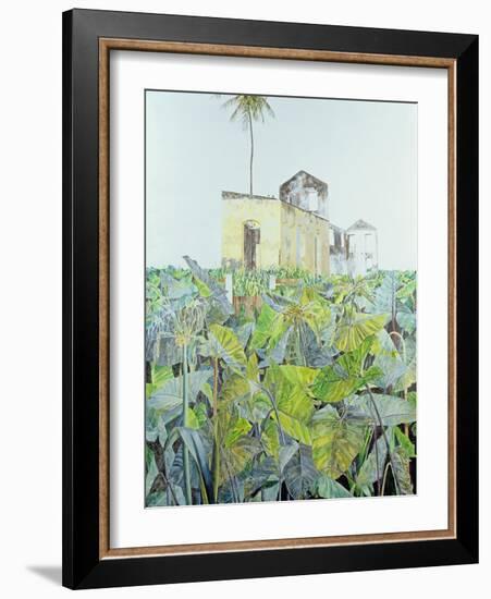 Ruin in a Swamp, Haiti, 1971-James Reeve-Framed Giclee Print