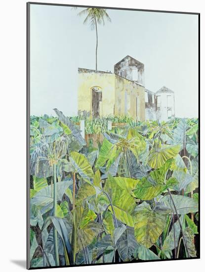 Ruin in a Swamp, Haiti, 1971-James Reeve-Mounted Giclee Print