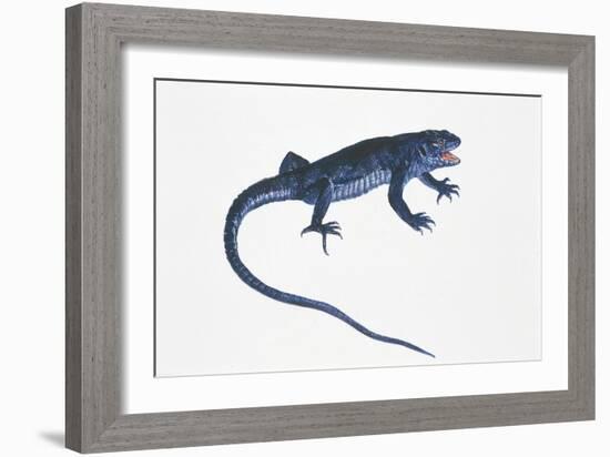 Ruin Lizard (Podarcis Sicula)-null-Framed Giclee Print