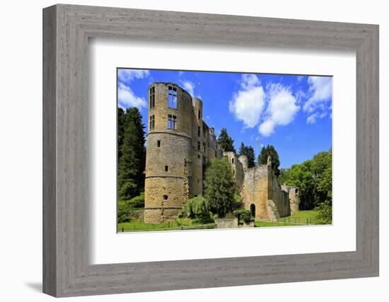 Ruin of Beaufort Castle in Beaufort, Canton of Echternach, Grand Duchy of Luxembourg, Europe-Hans-Peter Merten-Framed Photographic Print