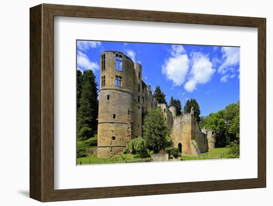 Ruin of Beaufort Castle in Beaufort, Canton of Echternach, Grand Duchy of Luxembourg, Europe-Hans-Peter Merten-Framed Photographic Print