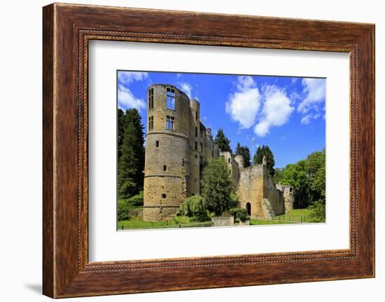 Ruin of Beaufort Castle in Beaufort, Canton of Echternach, Grand Duchy of Luxembourg, Europe-Hans-Peter Merten-Framed Photographic Print