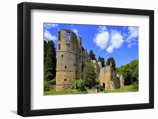 Ruin of Beaufort Castle in Beaufort, Canton of Echternach, Grand Duchy of Luxembourg, Europe-Hans-Peter Merten-Framed Photographic Print