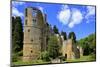 Ruin of Beaufort Castle in Beaufort, Canton of Echternach, Grand Duchy of Luxembourg, Europe-Hans-Peter Merten-Mounted Photographic Print