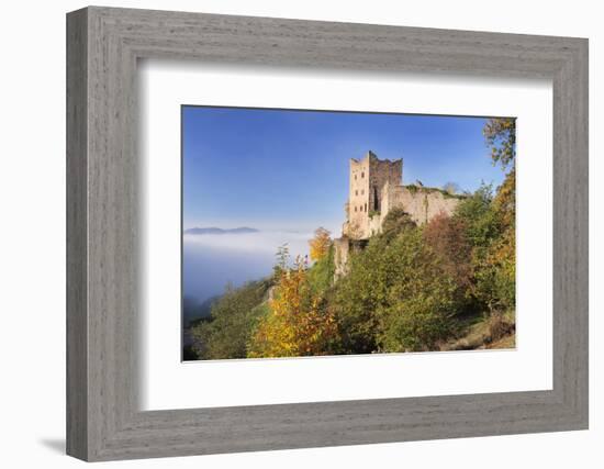 Ruin Schauenburg, Oberkirch, Black Forest, Baden Wurttemberg, Germany-Markus Lange-Framed Photographic Print