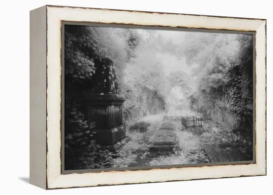 Ruined Chapel, Kells-In-Ossory, County Kilkenny, Ireland-Simon Marsden-Framed Premier Image Canvas