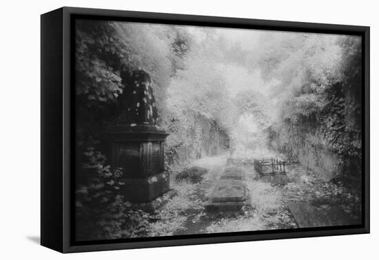 Ruined Chapel, Kells-In-Ossory, County Kilkenny, Ireland-Simon Marsden-Framed Premier Image Canvas