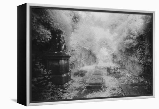 Ruined Chapel, Kells-In-Ossory, County Kilkenny, Ireland-Simon Marsden-Framed Premier Image Canvas