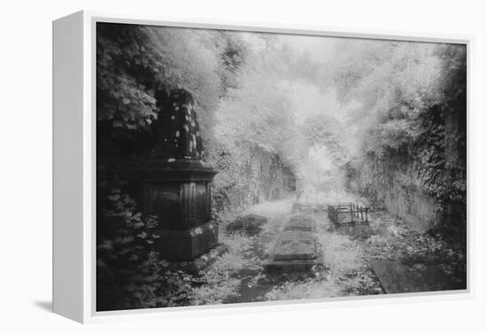 Ruined Chapel, Kells-In-Ossory, County Kilkenny, Ireland-Simon Marsden-Framed Premier Image Canvas