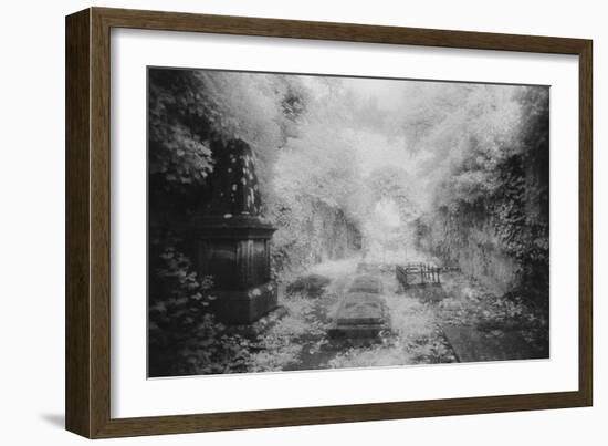 Ruined Chapel, Kells-In-Ossory, County Kilkenny, Ireland-Simon Marsden-Framed Giclee Print