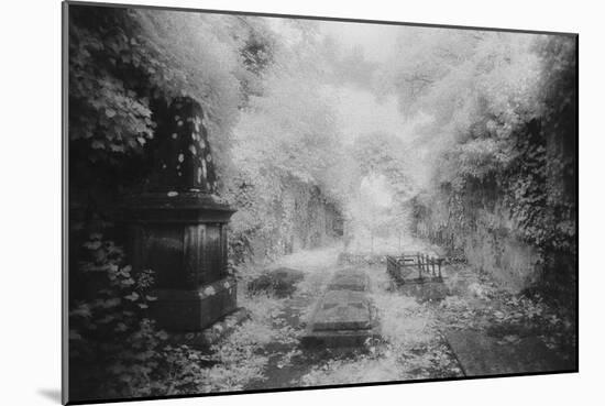 Ruined Chapel, Kells-In-Ossory, County Kilkenny, Ireland-Simon Marsden-Mounted Giclee Print