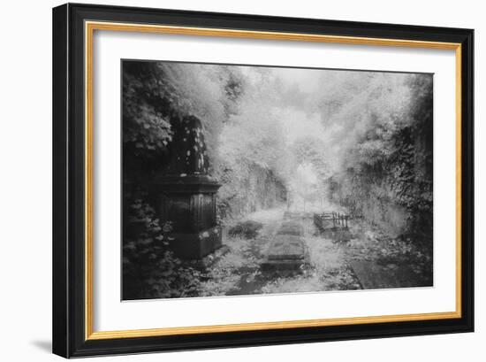 Ruined Chapel, Kells-In-Ossory, County Kilkenny, Ireland-Simon Marsden-Framed Giclee Print