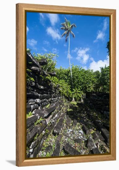 Ruined City Nan Madol, Pohnpei, Micronesia, Central Pacific-Michael Runkel-Framed Premier Image Canvas