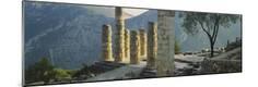 Photographic Print