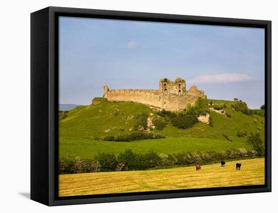 Ruined Walls of Roche Castle, County Louth, Ireland-null-Framed Premier Image Canvas