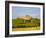 Ruined Walls of Roche Castle, County Louth, Ireland-null-Framed Photographic Print