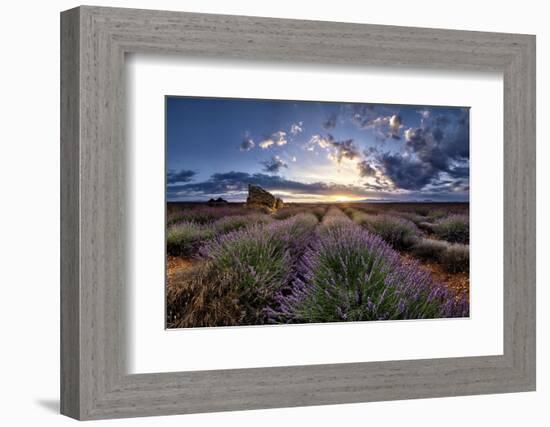 Ruins in a lavender field at sunrise in Provence, France, Europe-Francesco Fanti-Framed Photographic Print