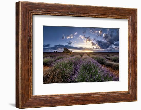 Ruins in a lavender field at sunrise in Provence, France, Europe-Francesco Fanti-Framed Photographic Print