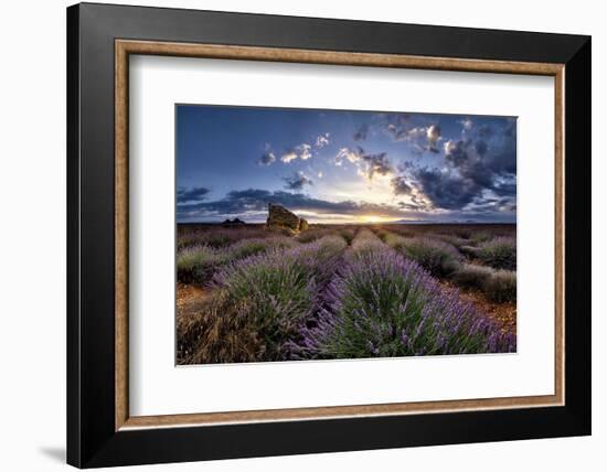 Ruins in a lavender field at sunrise in Provence, France, Europe-Francesco Fanti-Framed Photographic Print