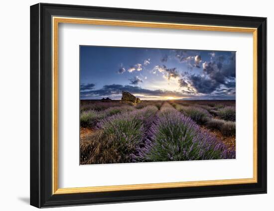 Ruins in a lavender field at sunrise in Provence, France, Europe-Francesco Fanti-Framed Photographic Print