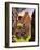 Ruins in the Forest-Ron Embleton-Framed Giclee Print