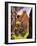 Ruins in the Forest-Ron Embleton-Framed Giclee Print