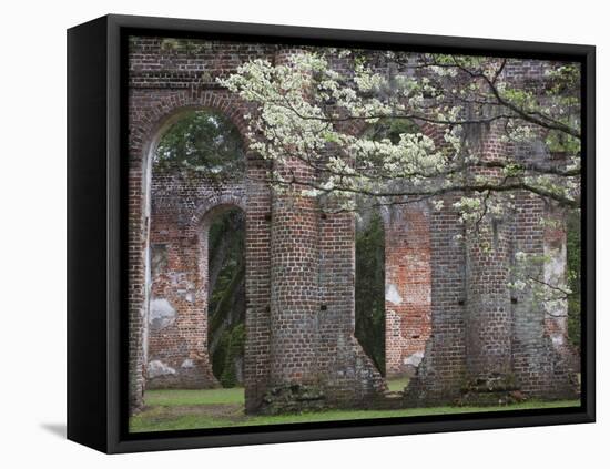 Ruins in the Spring of Old Sheldon Church, South Carolina, Usa-Joanne Wells-Framed Premier Image Canvas