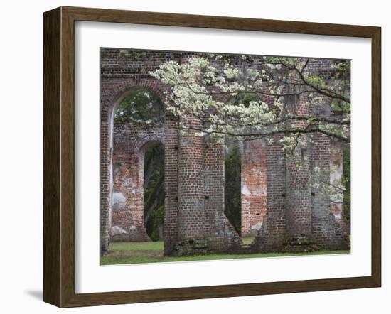 Ruins in the Spring of Old Sheldon Church, South Carolina, Usa-Joanne Wells-Framed Photographic Print