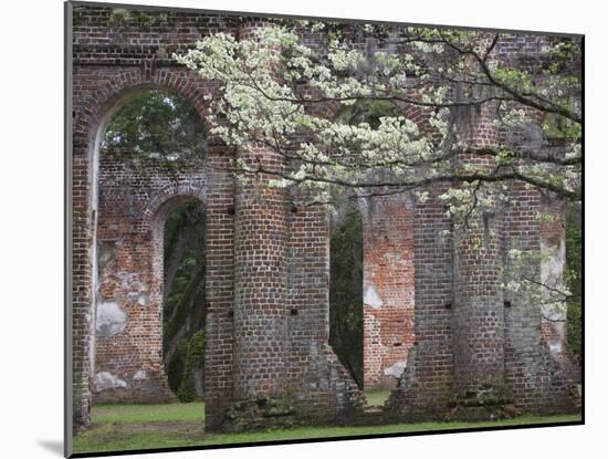 Ruins in the Spring of Old Sheldon Church, South Carolina, Usa-Joanne Wells-Mounted Photographic Print