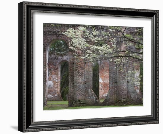 Ruins in the Spring of Old Sheldon Church, South Carolina, Usa-Joanne Wells-Framed Photographic Print