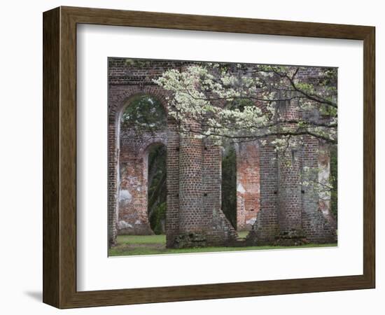 Ruins in the Spring of Old Sheldon Church, South Carolina, Usa-Joanne Wells-Framed Photographic Print