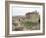 Ruins of Baalbek, Unesco World Heritage Site, Lebanon, Middle East-Alison Wright-Framed Photographic Print